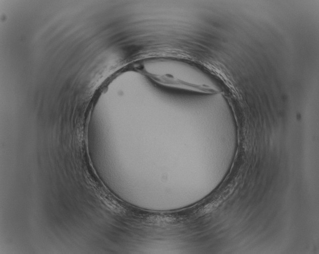 X0000087351073200705181120