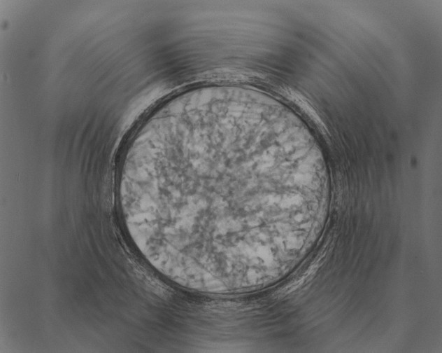 X0000087351075200705181120