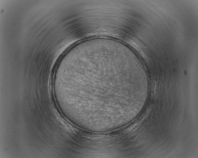 X0000087351076200705181120