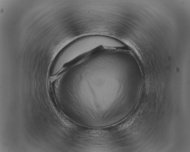 X0000087351077200705181120