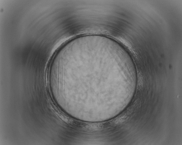 X0000087351078200705181120