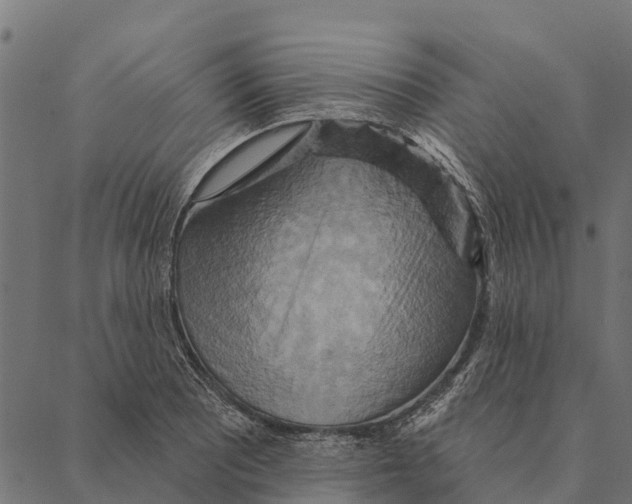 X0000087351081200705181120