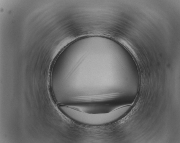 X0000087351093200705181120