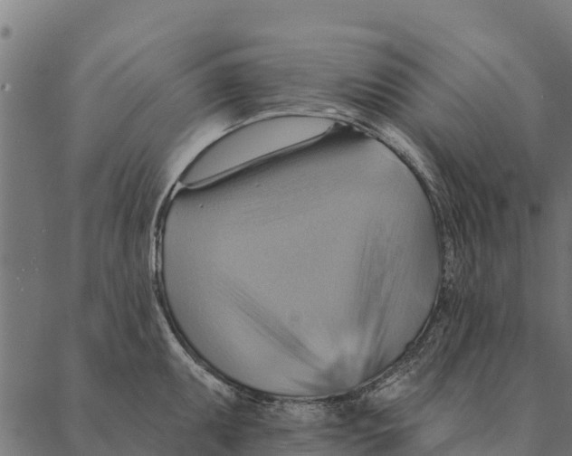 X0000087351095200705181120