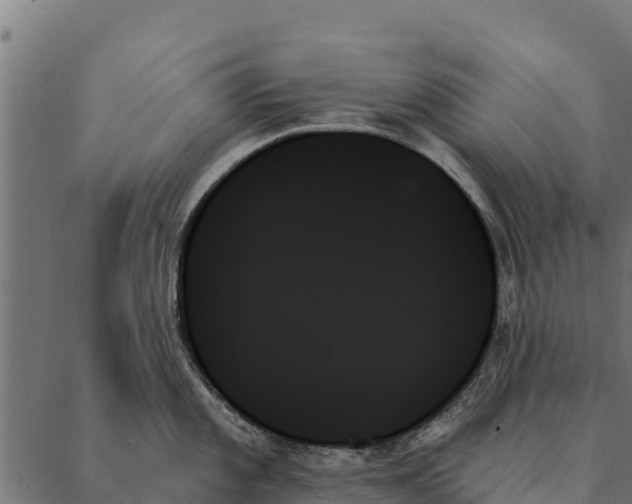 X0000087351101200705181120