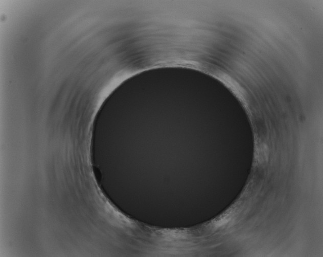 X0000087351102200705181120
