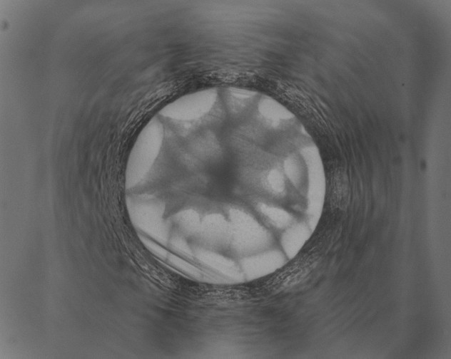 X0000087351105200705181119