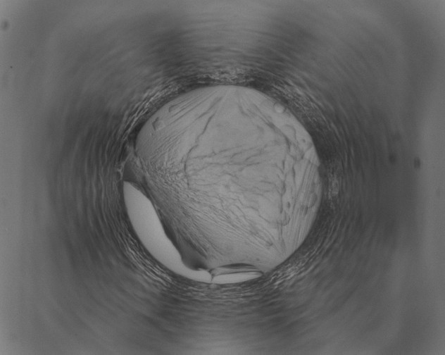 X0000087351106200705181119