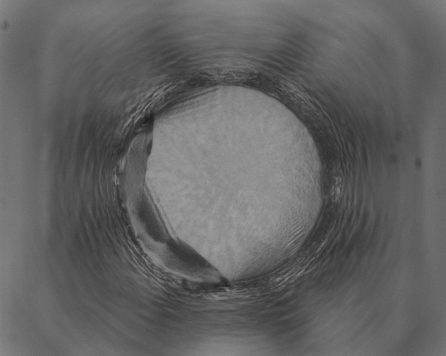 X0000087351108200705181119