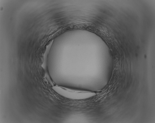 X0000087351109200705181119