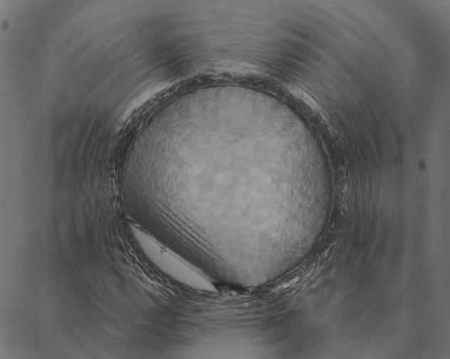X0000087351112200705181119