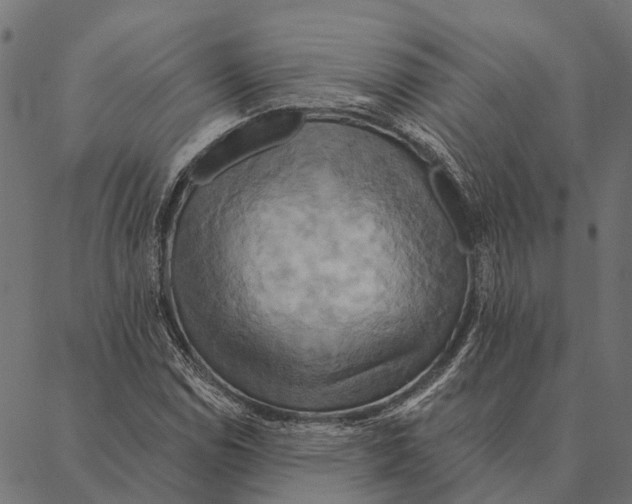 X0000087351114200705181119