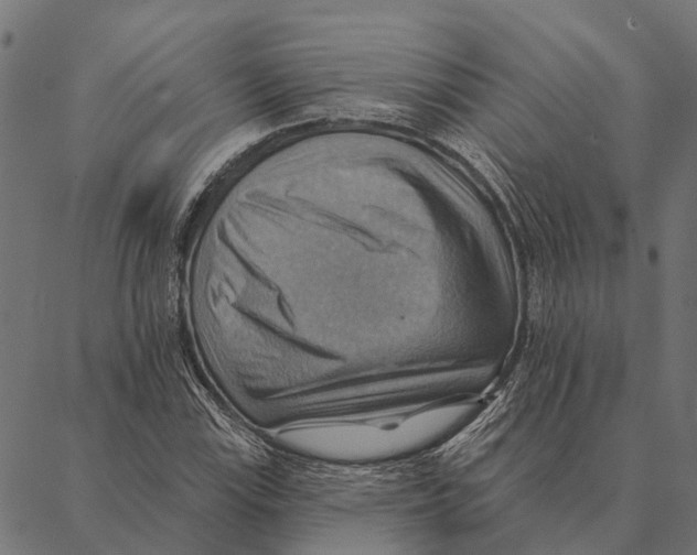 X0000087351115200705181119