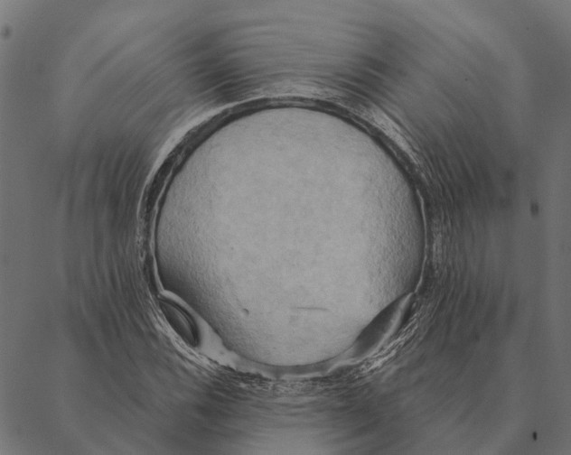 X0000087351116200705181119
