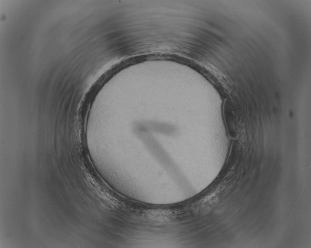 X0000087351118200705181119