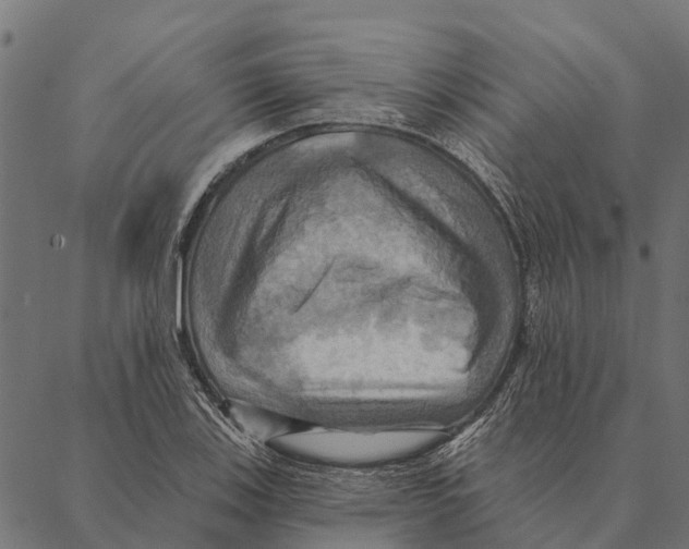 X0000087351123200705181119