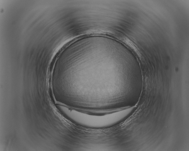 X0000087351124200705181119