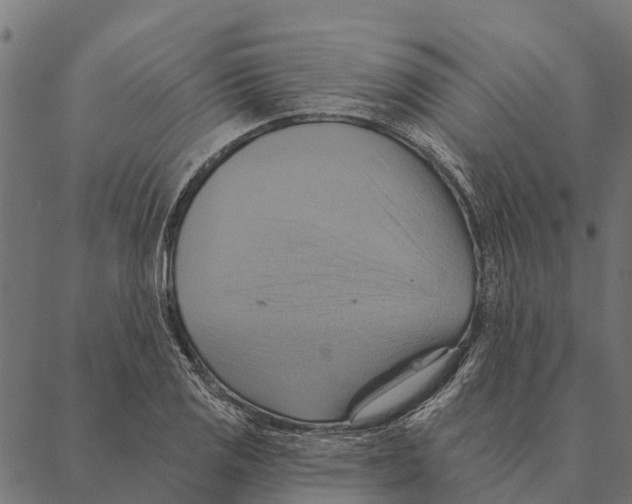 X0000087351125200705181119