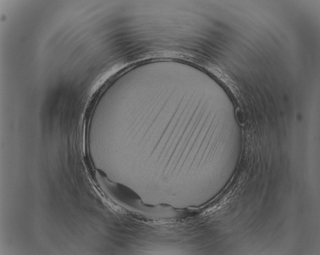 X0000087351127200705181119