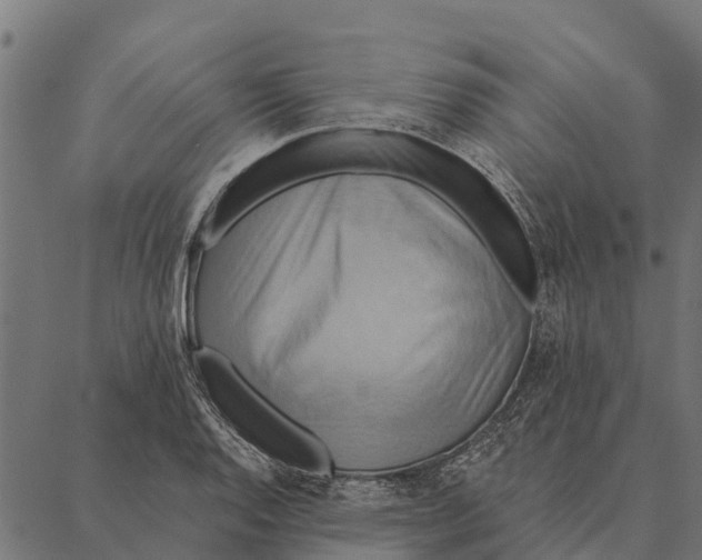 X0000087351128200705181119