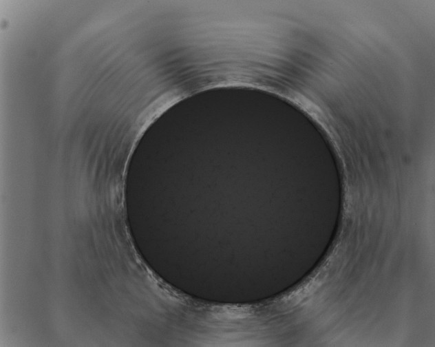 X0000087351145200705181120