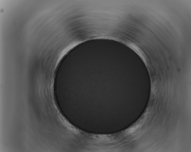 X0000087351149200705181120