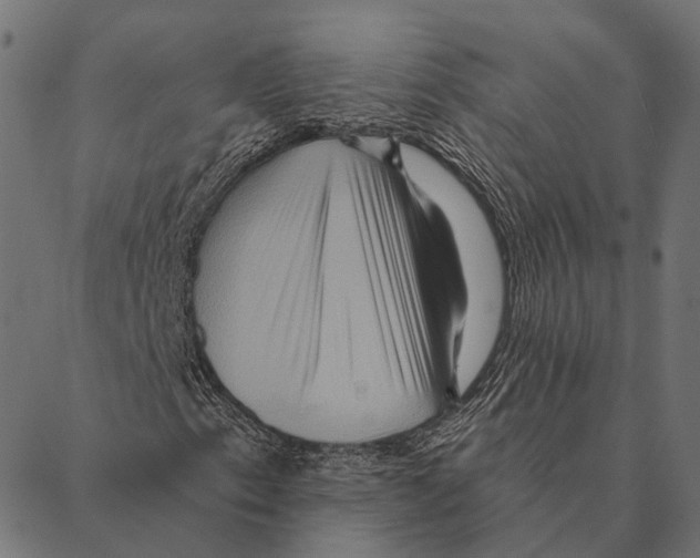 X0000087351153200705181119