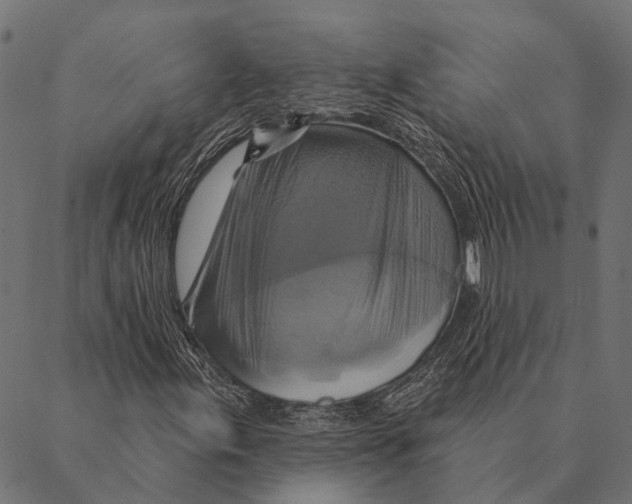 X0000087351155200705181119