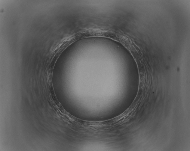 X0000087351157200705181119