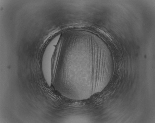 X0000087351160200705181119