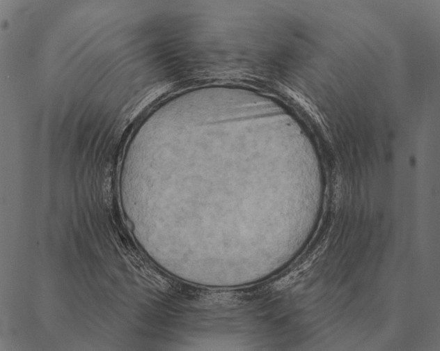 X0000087351162200705181119