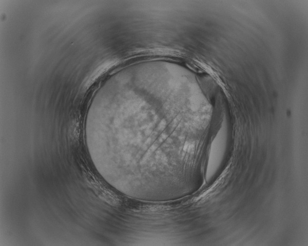 X0000087351163200705181119
