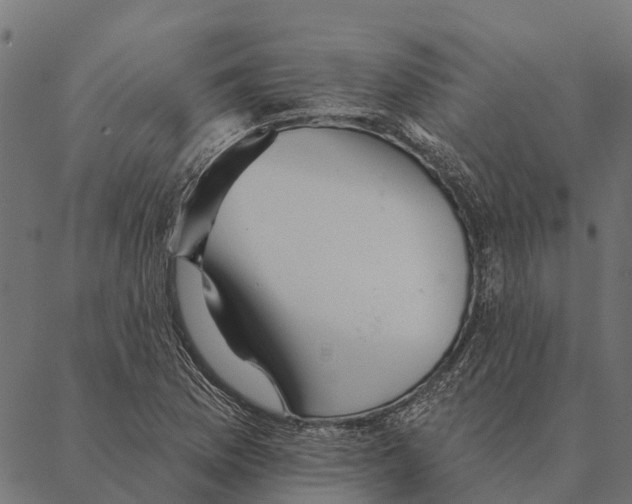 X0000087351169200705181119