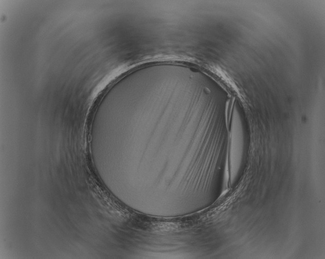 X0000087351173200705181119