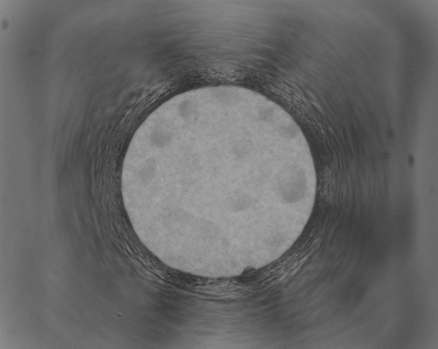 X0000087351201200705181118