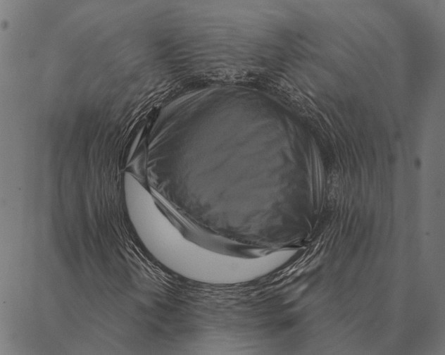 X0000087351202200705181118
