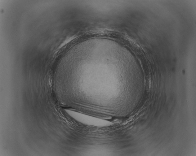 X0000087351206200705181118