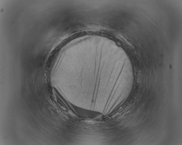 X0000087351208200705181118
