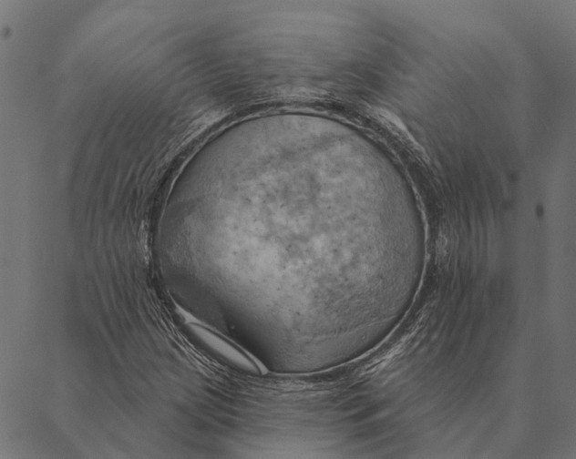 X0000087351209200705181118