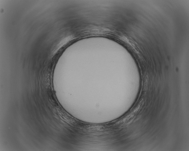 X0000087351211200705181118