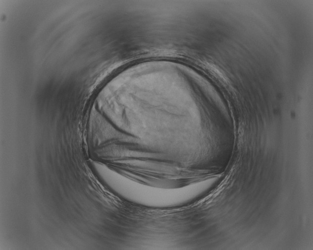 X0000087351212200705181118
