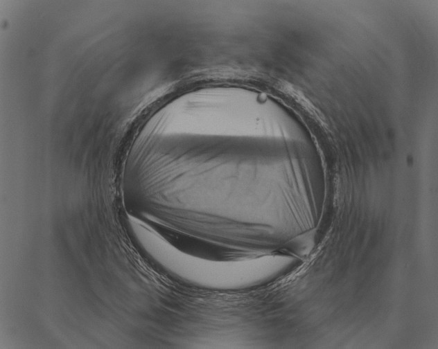 X0000087351213200705181118