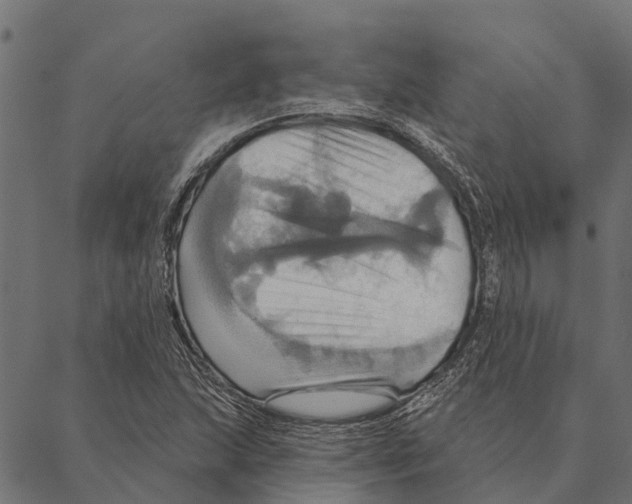 X0000087351215200705181118