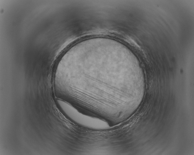 X0000087351216200705181118