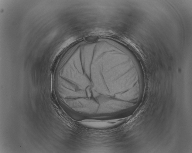 X0000087351219200705181118