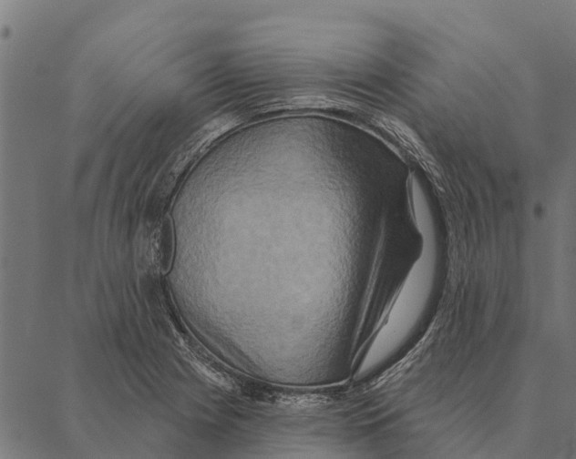 X0000087351225200705181118