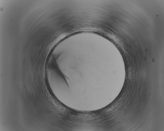 X0000087351229200705181118