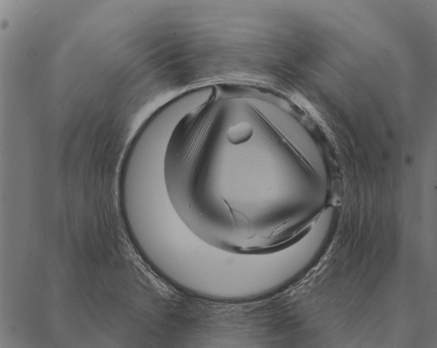 X0000087351230200705181118