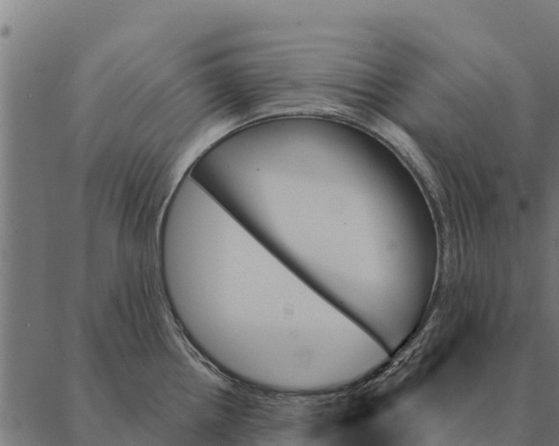 X0000087351242200705181118