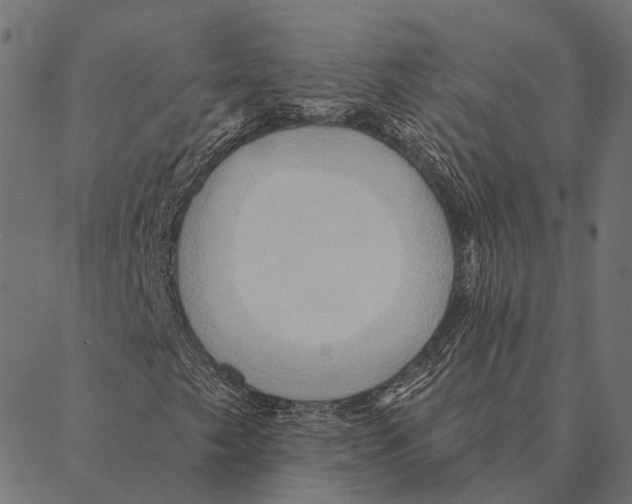 X0000087351249200705181117